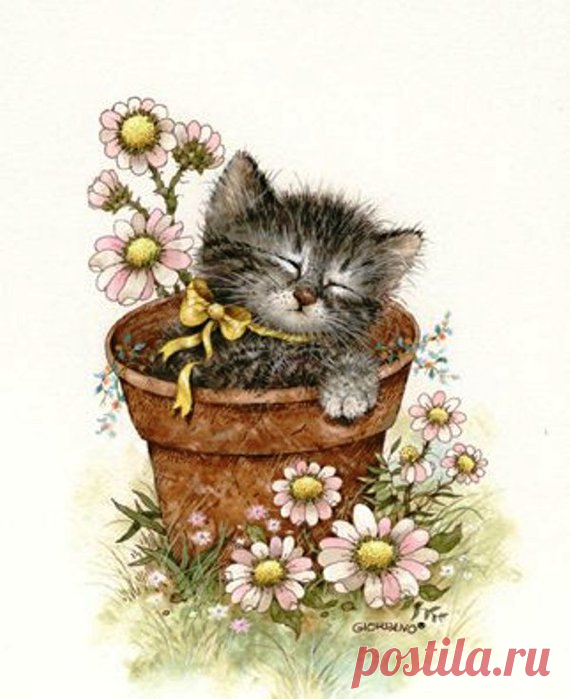 Любителям кошек и собак)). Часть 1