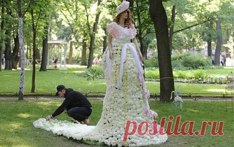 КОМПОЗИЦИИ ИЗ ЦВЕТОВ.