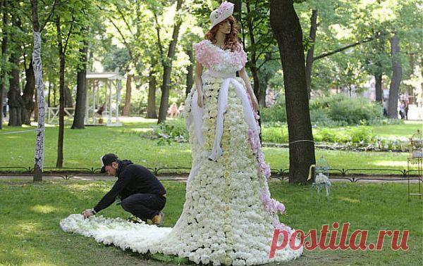 КОМПОЗИЦИИ ИЗ ЦВЕТОВ.