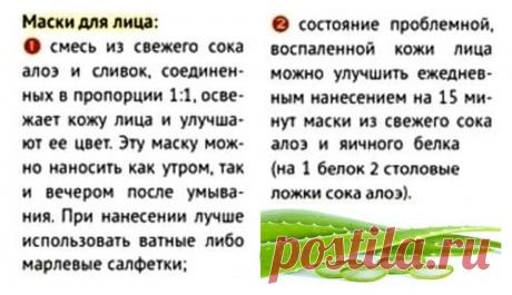 Маски для лица с алоэ