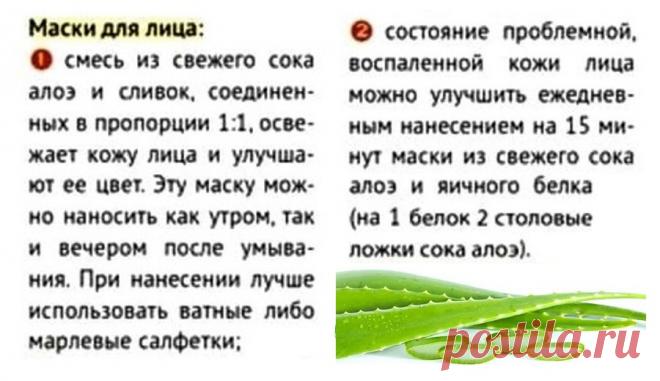 Маски для лица с алоэ