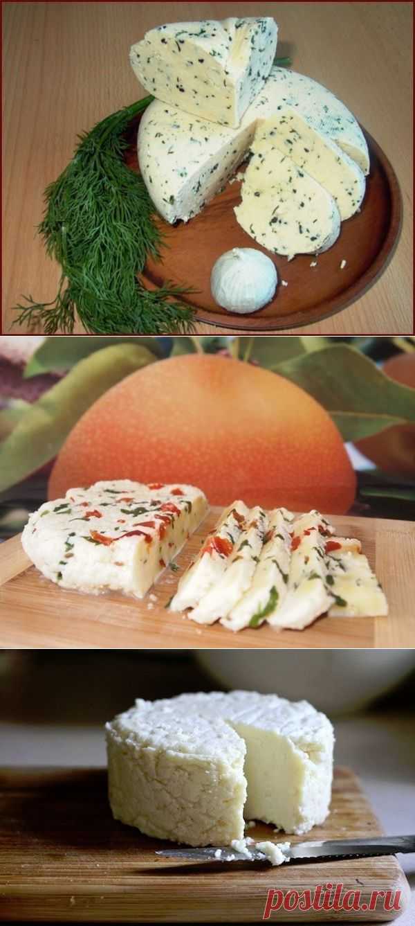 ТОР - 14 Подборка вкусных домашних сыров!
