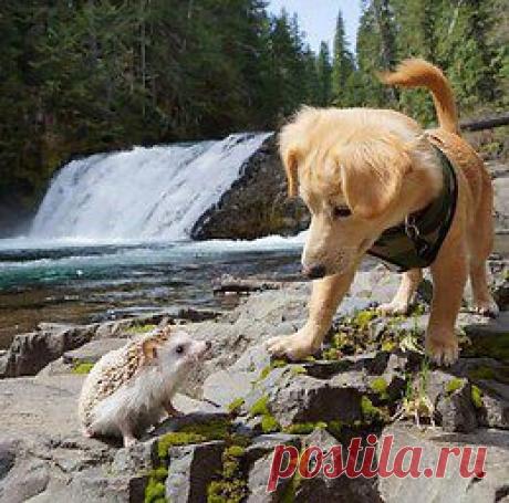 Лучшие фото