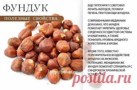Академия здоровой жизни - фундук
