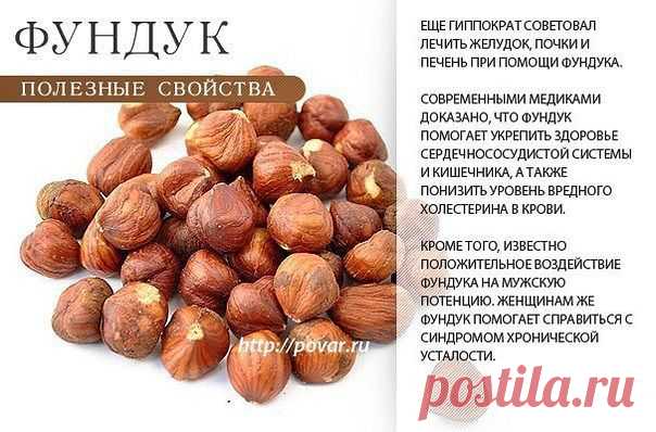 Академия здоровой жизни - фундук