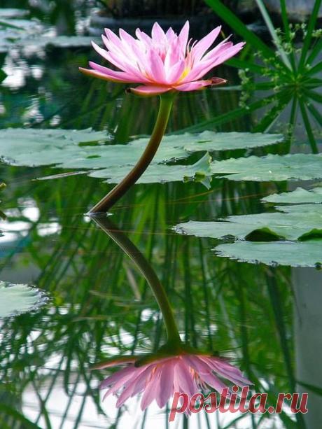 Wishing you a wonderful start to a new week ♡