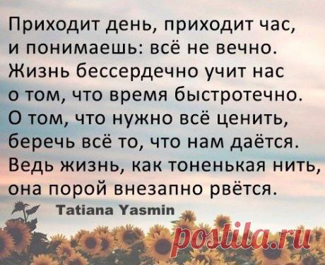 Голосование Мисс/Мистер