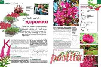 готовые схемы цветников и клумб для начинающих: 10 тыс изображений найдено в Яндекс.Картинках