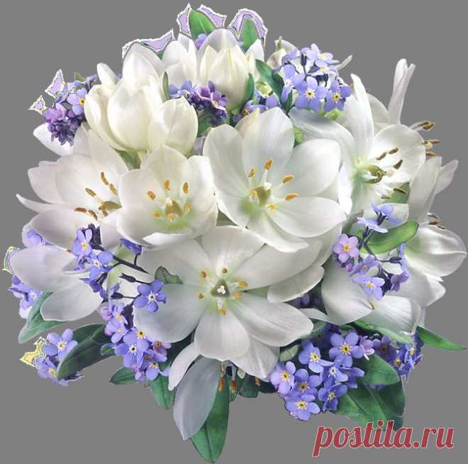 Весенний Блюз!