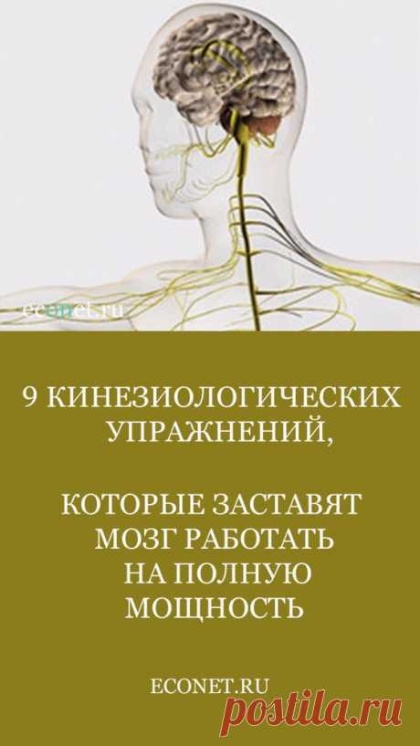 9 кинезиологических упражнений, которые заставят мозг работать на полную мощность
