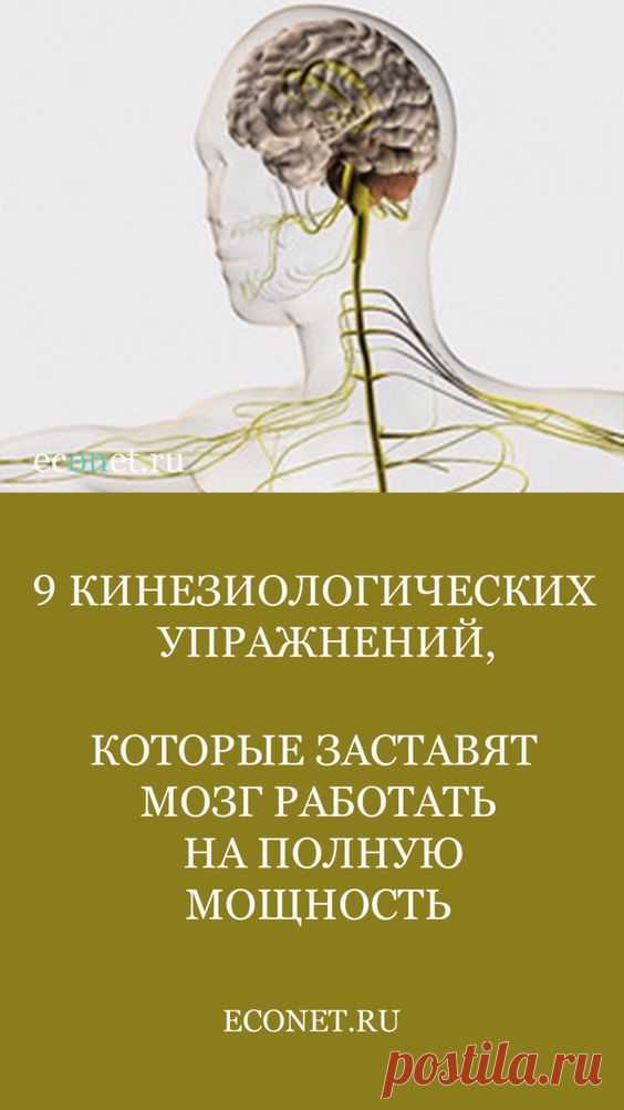 9 кинезиологических упражнений, которые заставят мозг работать на полную мощность