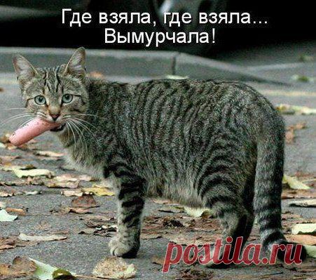 Правда жизни!