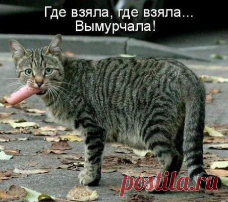 Правда жизни!