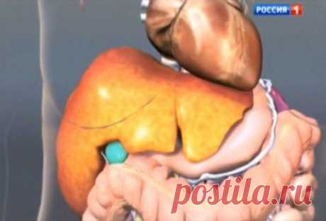 Гепатит «А». Симптомы и как уберечь себя | Домохозяйки