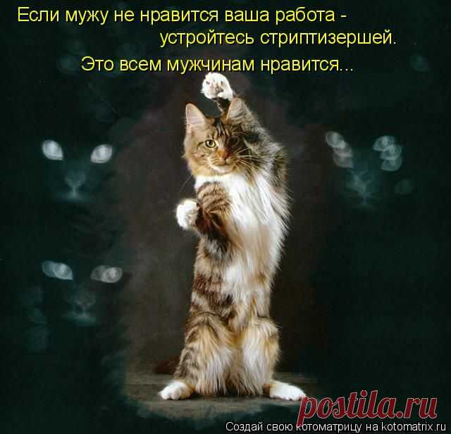 о мужьях