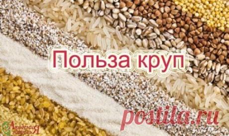 Польза круп