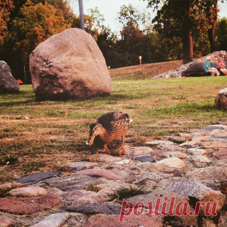 Super Miestas - Marijampolė