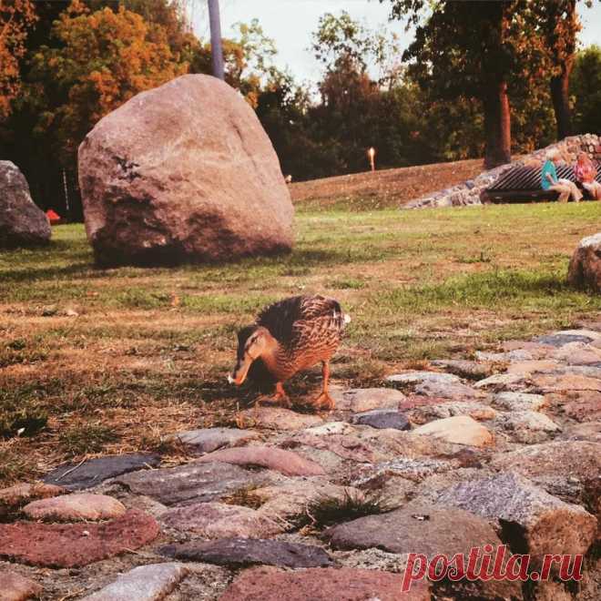 Super Miestas - Marijampolė