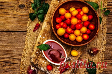 Ткемали из алычи на зиму — Домашние заботы