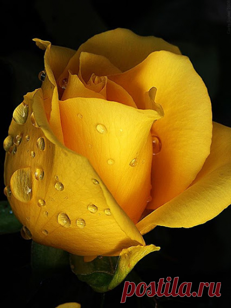 weza777:
“ ❥❥
”