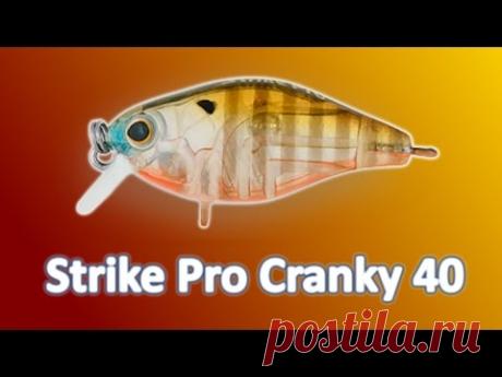 Strike Pro Cranky 40 (часть 1)