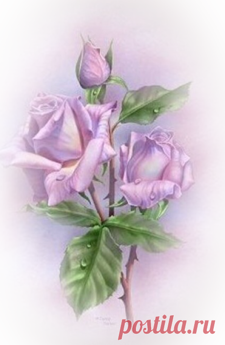 =