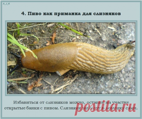 Полезные советы на каждый день (17 ) | ВСЕГДА В ФОРМЕ!