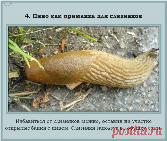 Полезные советы на каждый день (17 ) | ВСЕГДА В ФОРМЕ!