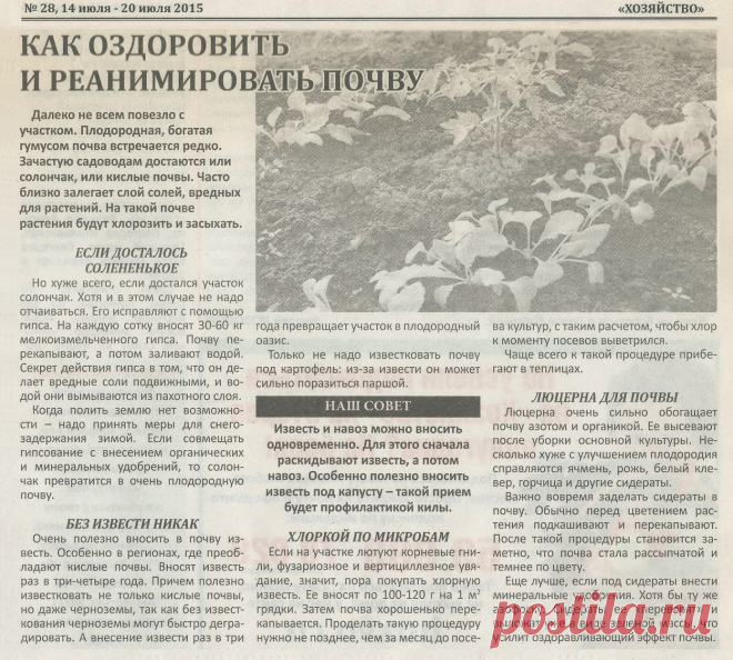 Как оздоровить и реанимировать почву