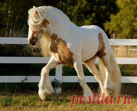 ПрЫкольные статусы
Андрей Евсейчик