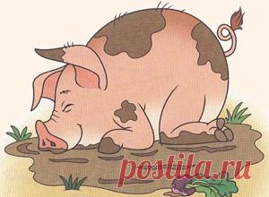 Олеся Емельянова. Лиса и кабан. Басня про перевоспитание мужа. Современные басни в стихах.
Каждая девушка мечтает об идеальном женихе и муже. Однако таких на всех не хватает. И тогда некоторые девушки начинают воображать себя сказочными принцессами, способными поцелуем превратить любое чудовище в прекрасного принца. Только вот большинство чудовищ в принцев не превращаются, потому что они не заколдованные принцы, а просто чудовища. Одну такую историю расскажет вам эта поучительная басня.