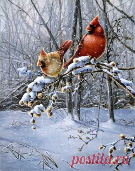 Животные.птицы.Художник Wanda Mumm.