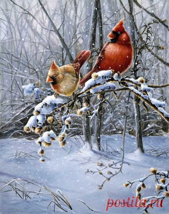 Животные.птицы.Художник Wanda Mumm.