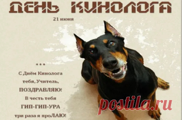 Сегодня вашу службу поздравляем,
Она в подразделении важна!
Кинологам успехов и удачи пожелаем,
Всем помощь ваша верная нужна.
С Днем кинолога!