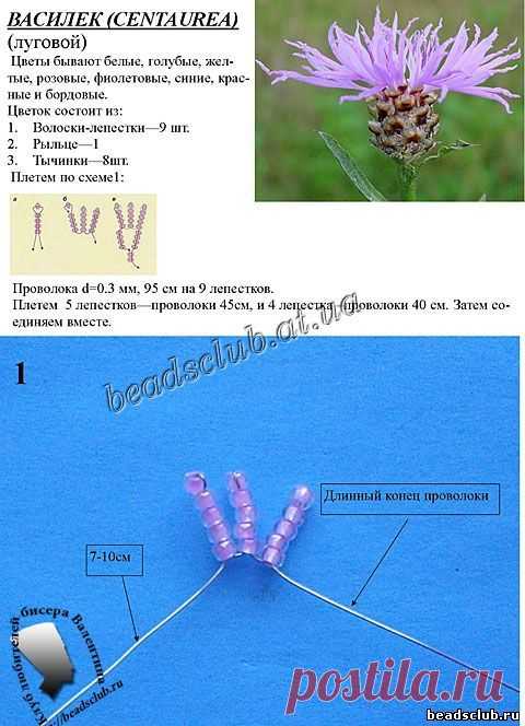 Василек луговой - Василек из бисера - Мастер-класс по цветам от 