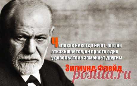 Интерес к теориям Зигмунда Фрейда не угасает и по сей день. 18 гениальных цитат ученого. - KakZachem.ru