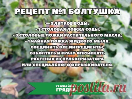 4 непрочитанных чата