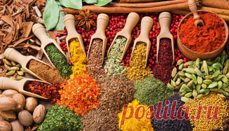 Уникальный вкус любого кулинарного шедевра, зависит от правильного букета приправ! Подсказки в картинках! | Юлия Жданова | Яндекс Дзен