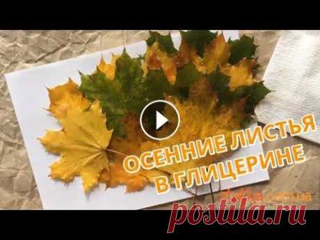 ЛайфХак: Осенние листья в глицерине Простой способ сделать листики прочными, гибкими и долговечными! Использовать такие листики очень удобно для поделок, аппликаций, фотосессии в осенней...
