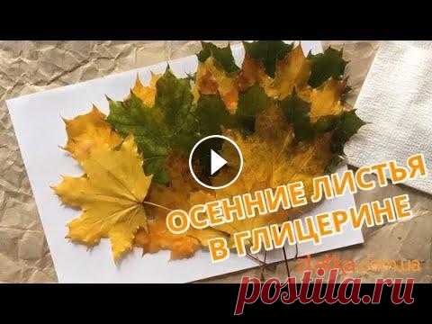 ЛайфХак: Осенние листья в глицерине Простой способ сделать листики прочными, гибкими и долговечными! Использовать такие листики очень удобно для поделок, аппликаций, фотосессии в осенней...