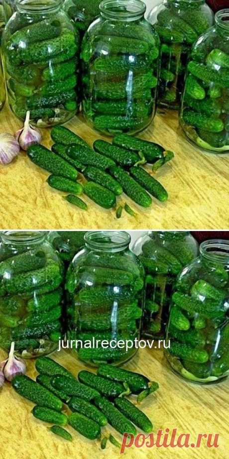 Огурцы «Злодейские» — и хрустящие, и ароматные и очень вкусные! Зимой будет так приятно похрустеть!