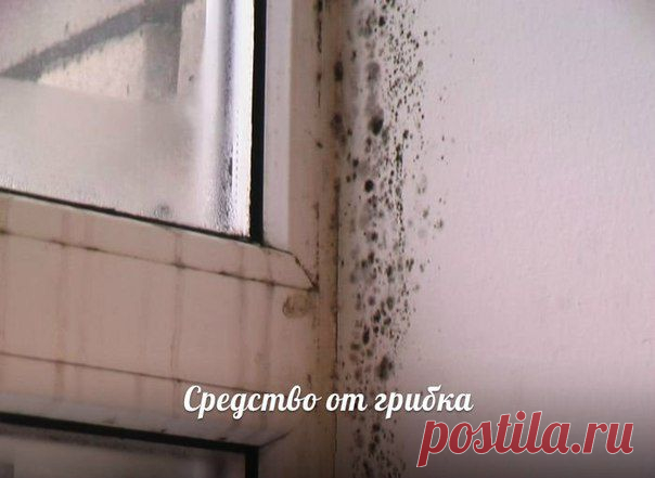 *Средство от грибка.