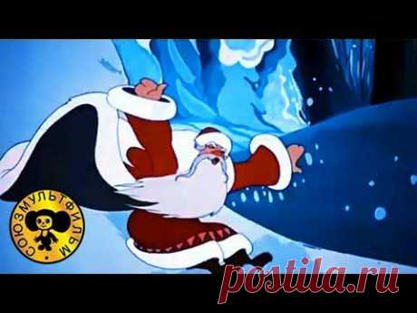 ▶ Новогодние мультфильмы - Праздник Новогодней Ёлки. Сборник. - YouTube