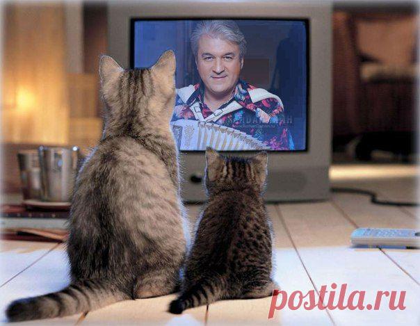 Светлана Болотова