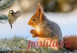 Берегите природу