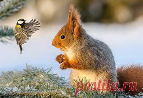 Берегите природу