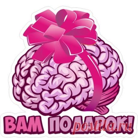 Мозги включите, экономисты хреновы...(с) - Медвежий угол - медиаплатформа МирТесен