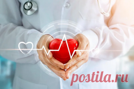 Врач выделила 10 простых шагов к здоровому сердцу: можно начать прямо сегодня | О здоровье: с медицинского на русский | Дзен