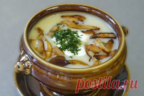Пюре и солянка. Самые вкусные супы из грибов 
Сезон грибов в самом разгаре, и перед хозяйками встаёт вопрос, что же приготовить из принесённого домой урожая. «АиФ-Челябинск» рассказывает о самых вкусных рецептах грибных супов.

Суп из свежих гри…