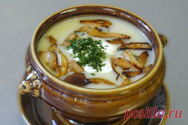 Пюре и солянка. Самые вкусные супы из грибов 
Сезон грибов в самом разгаре, и перед хозяйками встаёт вопрос, что же приготовить из принесённого домой урожая. «АиФ-Челябинск» рассказывает о самых вкусных рецептах грибных супов.

Суп из свежих гри…